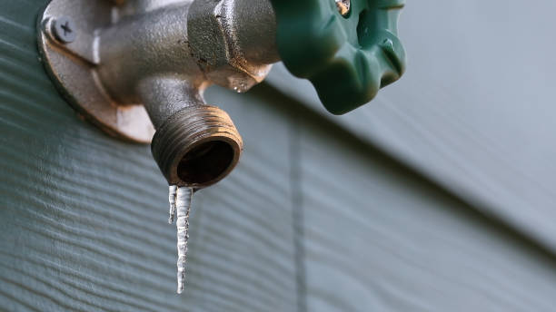 Professional Plumbing in Loganville, GA